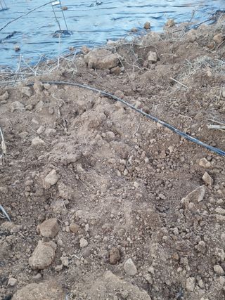 이남신님의 기타작물 · 자유게시판 작성글 사진