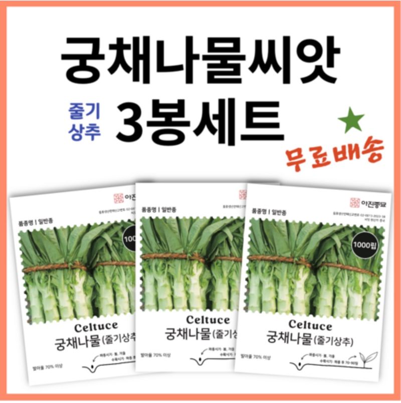주주씨앗님의 장터 판매 상품 [[무료배송] 궁채나물씨앗 3봉세트 ] 첨부 사진