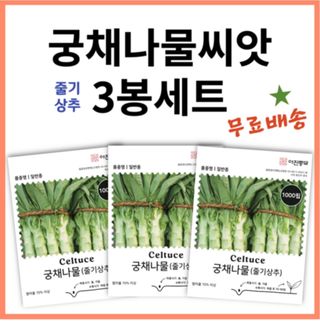 주주씨앗님의 작성글 사진