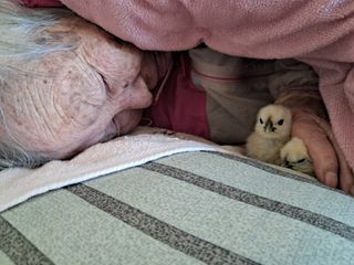 금동이네님의 자유주제 · 자유게시판 작성글 사진