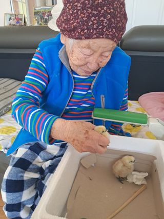 금동이네님의 자유주제 · 자유게시판 작성글 사진