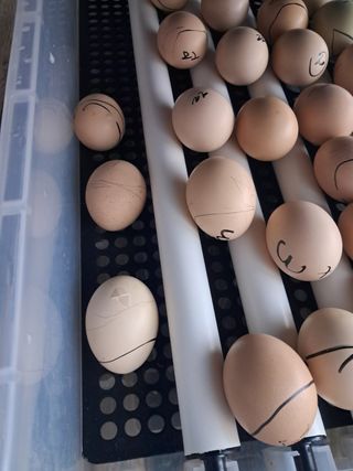 금동이네님의 자유주제 · 자유게시판 작성글 사진