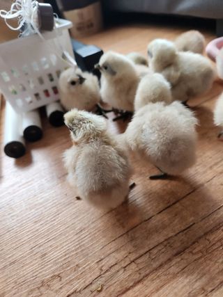 금동이네님의 자유주제 · 자유게시판 작성글 사진