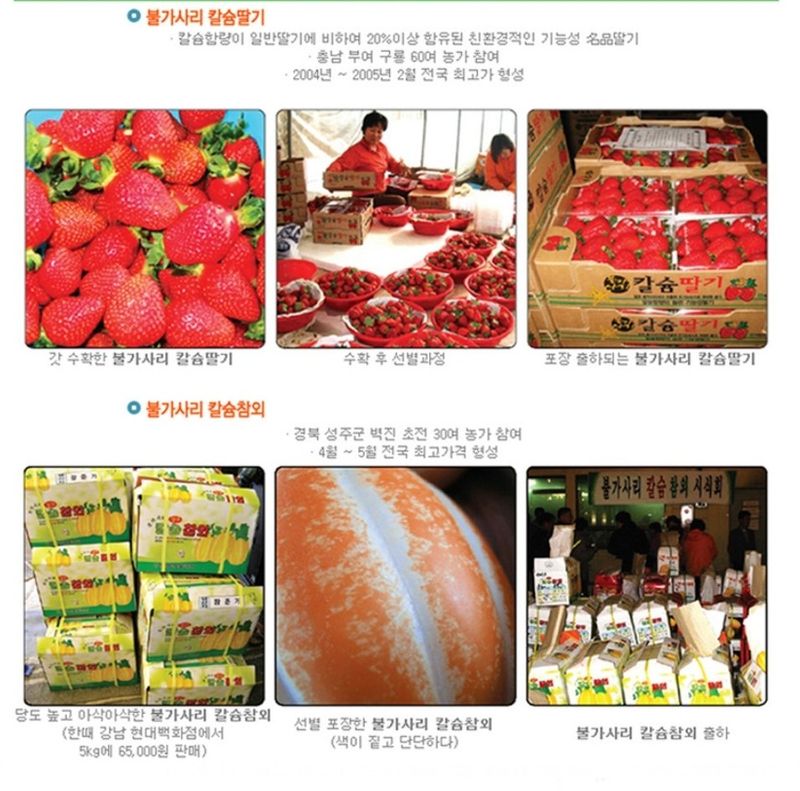 대산농사대장님의 장터 판매 상품 [불가사리영양제500ml] 첨부 사진