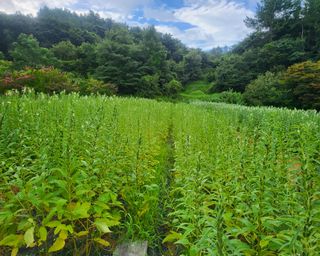 안셀모주님의 작성글 사진