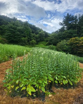 안셀모주님의 작성글 사진