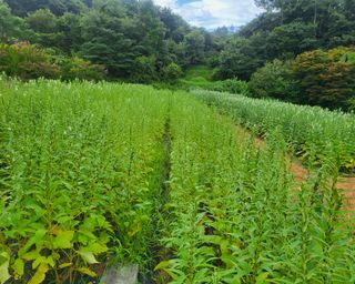 안셀모주님의 작성글 사진