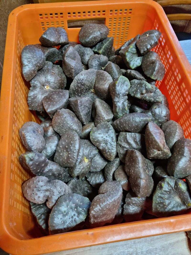 임동엽님의 장터 판매 상품 [하늘마5키로] 첨부 사진