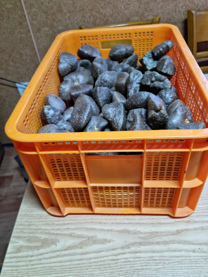 임동엽님의 장터 판매 상품 [하늘마5키로] 첨부 사진