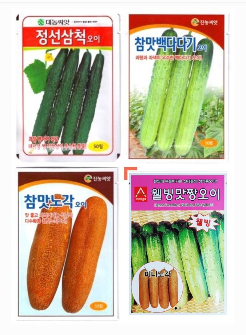 장터 상품 [오이씨앗. 노각오이씨앗. 피클오이] 썸네일