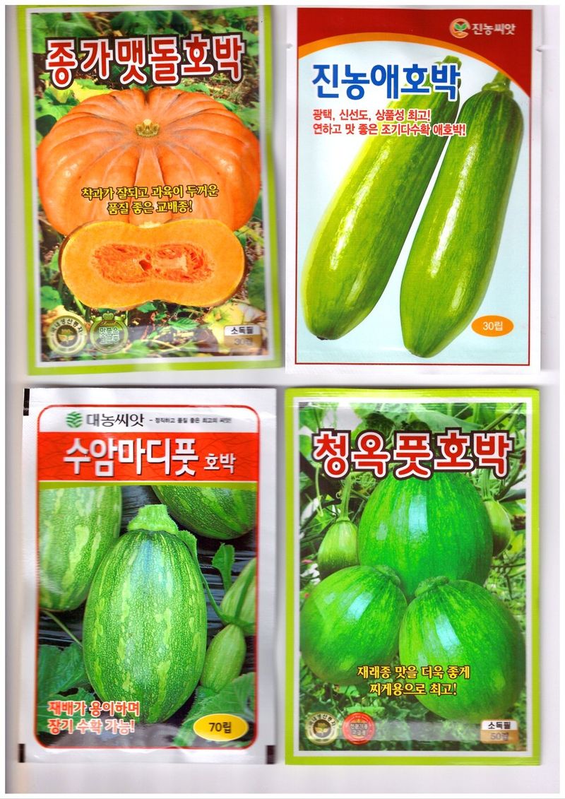 장터 상품 [호박씨앗, 수박씨앗, 가지씨앗] 썸네일