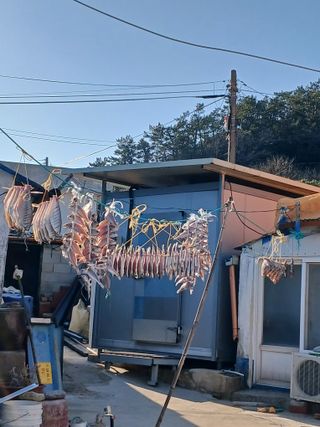 장호정님의 자유주제 · 자유게시판 작성글 사진