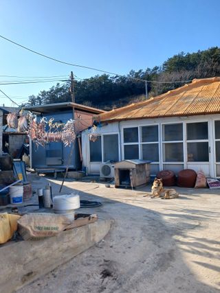 장호정님의 자유주제 · 자유게시판 작성글 사진