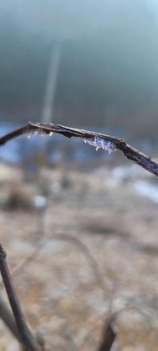 완전초보님의 농사, 무엇이든 물어보세요! · 참여글 작성글 사진