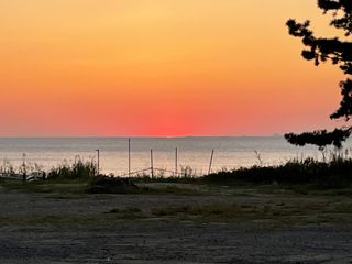 미르1203님의 팜모닝 · 출석 작성글 사진