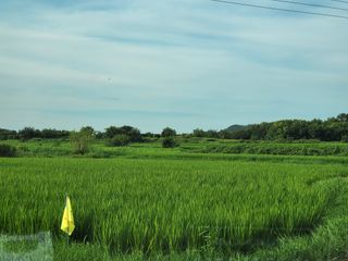 김동원님의 팜모닝 · 출석 작성글 사진