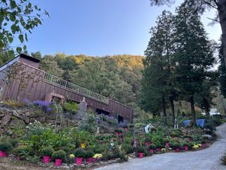 치유숲모이라양재순님의 팜모닝공식 · 광고승인요청 작성글 사진