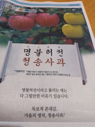 다나농원 이진우님의 작성글 사진