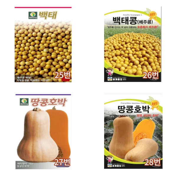 대산농사대장님의 장터 판매 상품 [콩씨앗 호랑이콩 땅콩 각종 콩종자 31종 모음전] 첨부 사진