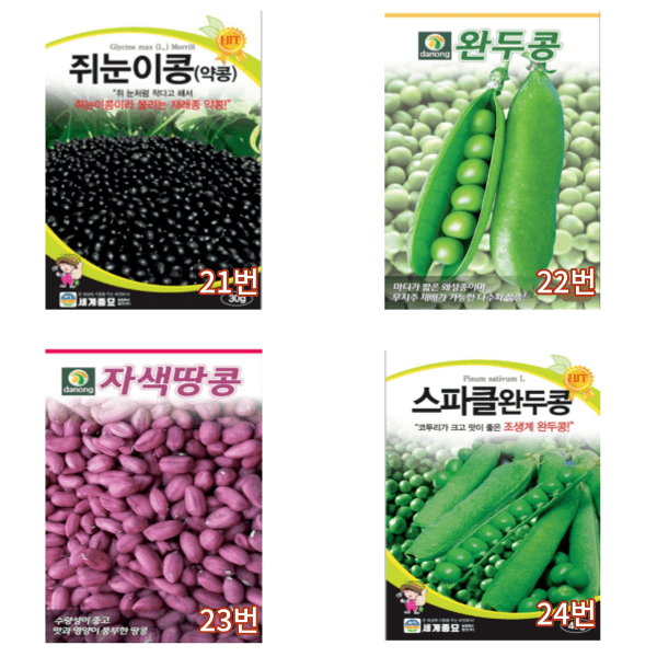 대산농사대장님의 장터 판매 상품 [콩씨앗 호랑이콩 땅콩 각종 콩종자 31종 모음전] 첨부 사진
