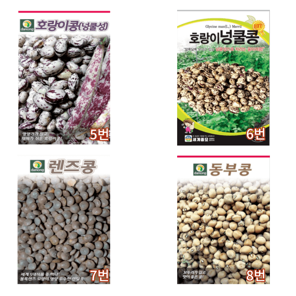 대산농사대장님의 장터 판매 상품 [콩씨앗 호랑이콩 땅콩 각종 콩종자 31종 모음전] 첨부 사진