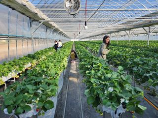 달구딸기님의 장터이야기 · 자유게시판 작성글 사진