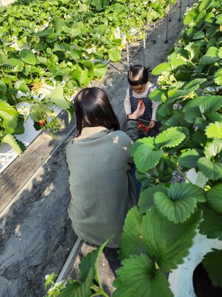 달구딸기님의 장터이야기 · 자유게시판 작성글 사진