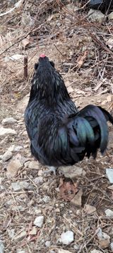 팜모닝 우리동네·동네수다 게시글 이미지