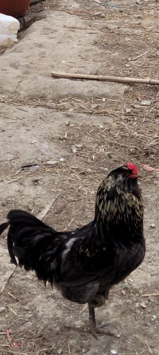 이숲농원님의 우리동네 · 동네수다 작성글 사진