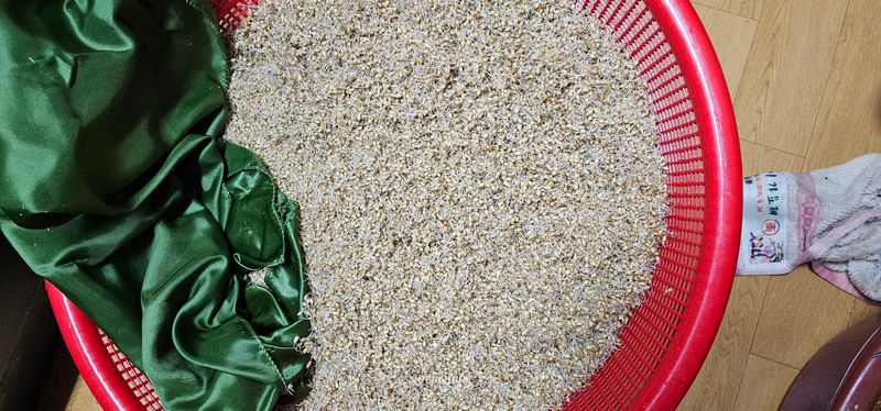 장연송님의 장터 판매 상품 [엿기름1kg] 첨부 사진