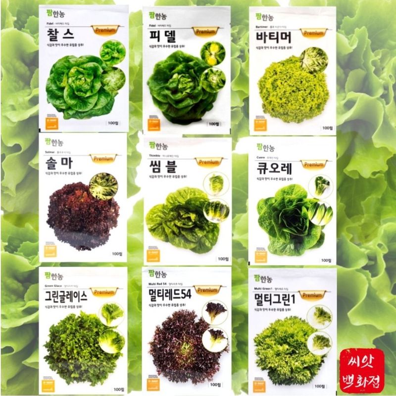 장터 상품 [프리미엄 고급유럽상추 ] 썸네일