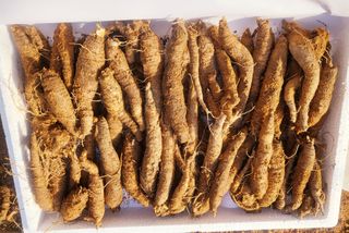 농장주되는게꿈님의 내가 아는 최고의 농부는? · 참여글 작성글 사진