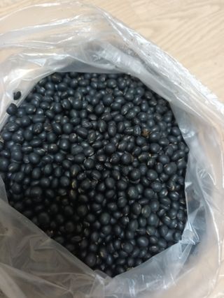 실로암농원님의 자유주제 · 자유게시판 작성글 사진