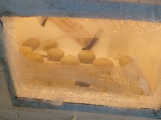 879412님의 내가 아는 최고의 농부는? · 참여글 작성글 사진