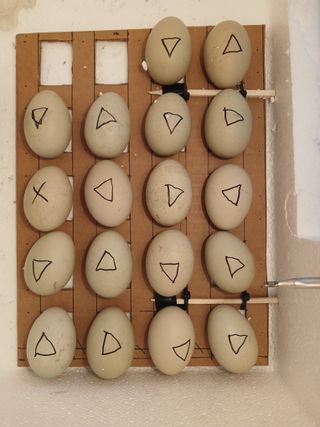 879412님의 내가 아는 최고의 농부는? · 참여글 작성글 사진