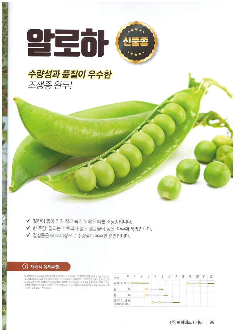 한농농약종묘사님의 장터 판매 상품 [완두콩씨앗 50g 조생종완두콩 신품종] 첨부 사진