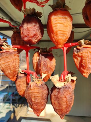 고영희님의 내가 아는 최고의 농부는? · 참여글 작성글 사진