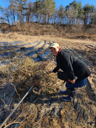 고영희님의 내가 아는 최고의 농부는? · 참여글 작성글 사진