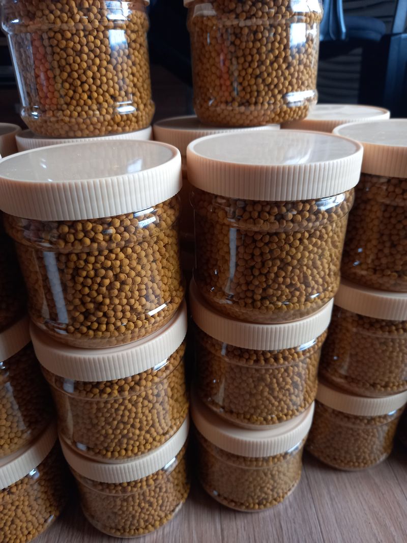 장터 상품 [강황 /환] 썸네일