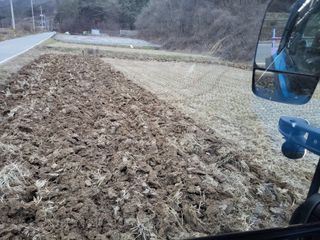 고추총각님의 벼 · 자유게시판 작성글 사진