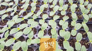 ㄱㅇㄹㄴㅂ님의 자유주제 · 자유게시판 작성글 사진