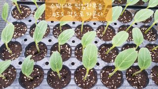 ㄱㅇㄹㄴㅂ님의 자유주제 · 자유게시판 작성글 사진