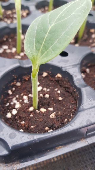 ㄱㅇㄹㄴㅂ님의 자유주제 · 자유게시판 작성글 사진