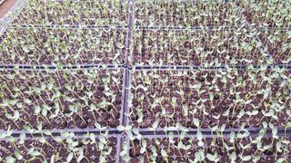 ㄱㅇㄹㄴㅂ님의 자유주제 · 자유게시판 작성글 사진