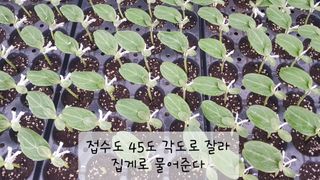 ㄱㅇㄹㄴㅂ님의 자유주제 · 자유게시판 작성글 사진