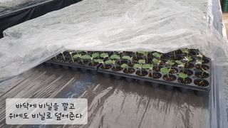 ㄱㅇㄹㄴㅂ님의 자유주제 · 자유게시판 작성글 사진