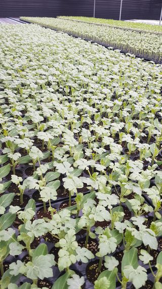 ㄱㅇㄹㄴㅂ님의 자유주제 · 자유게시판 작성글 사진