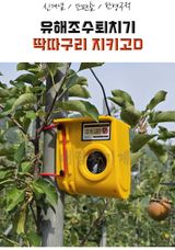 팜모닝 · 게시글 이미지