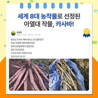 팜모닝 베스트님의 팜모닝공식 · 팜모닝 베스트 작성글 사진