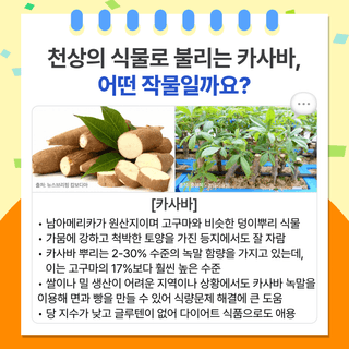 팜모닝 베스트님의 팜모닝공식 · 팜모닝 베스트 작성글 사진